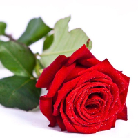 Grethe Alice Jacobsen